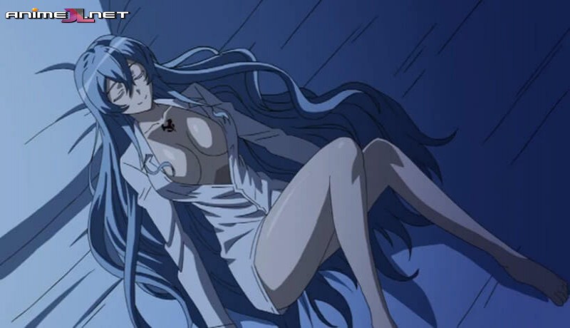 Akame ga Kill! Español completo