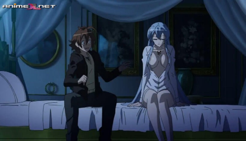 Akame ga Kill! Español online