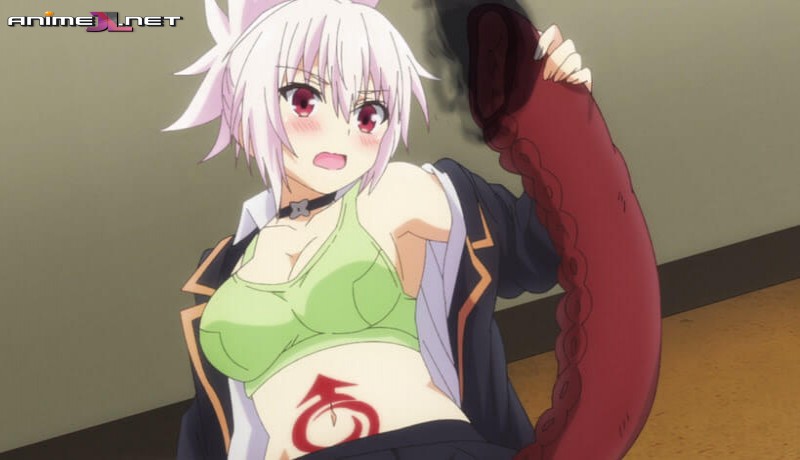 Ayakashi Triangle completo