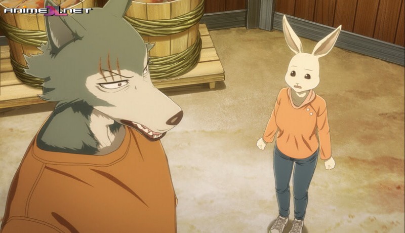 Beastars Final Season Castellano en hd