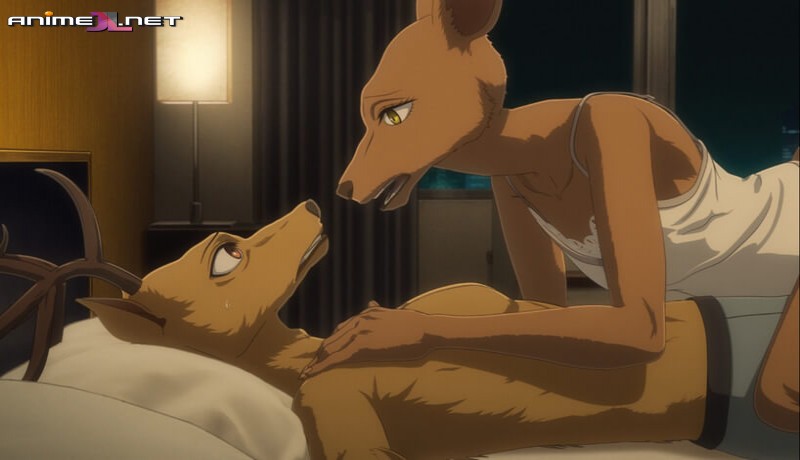 Beastars Final Season ver gratis