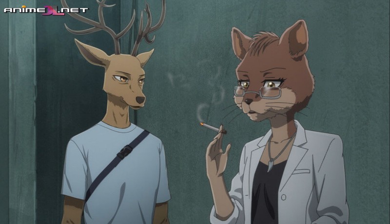Beastars Final Season completo