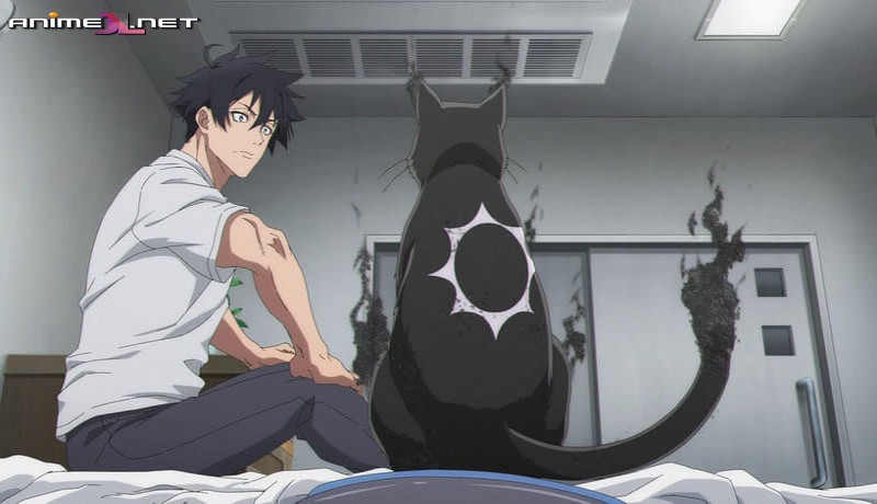 ver Black Torch Castellano