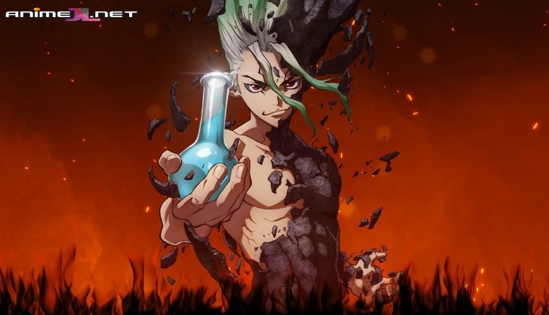 Dr. STONE online