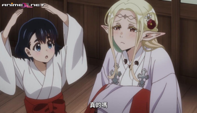 ver Edomae Elf