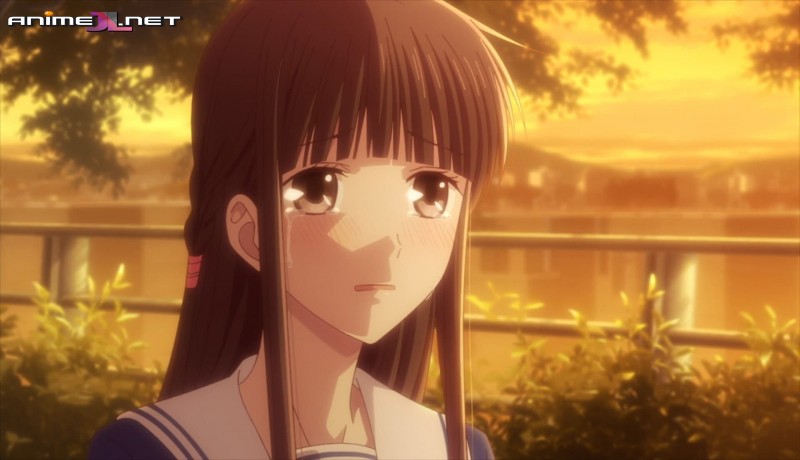 Fruits Basket Temporada 3 The Final Espa ol Latino AnimeJL
