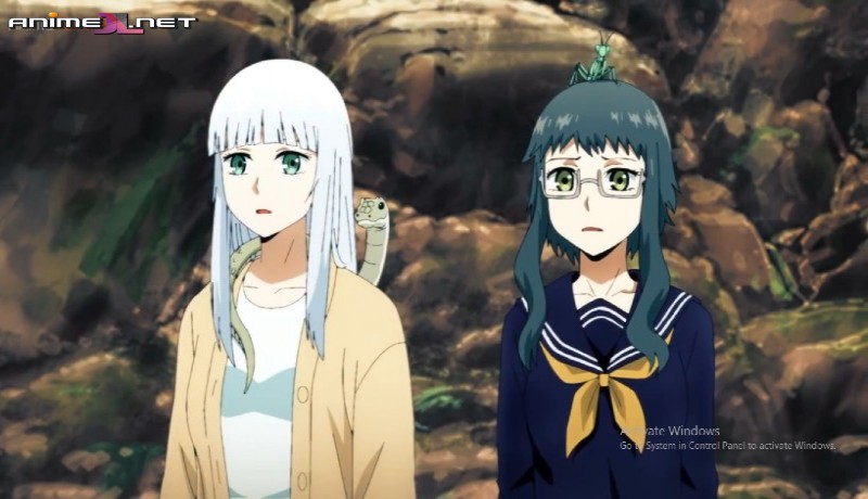 ver Hoshi no Samidare