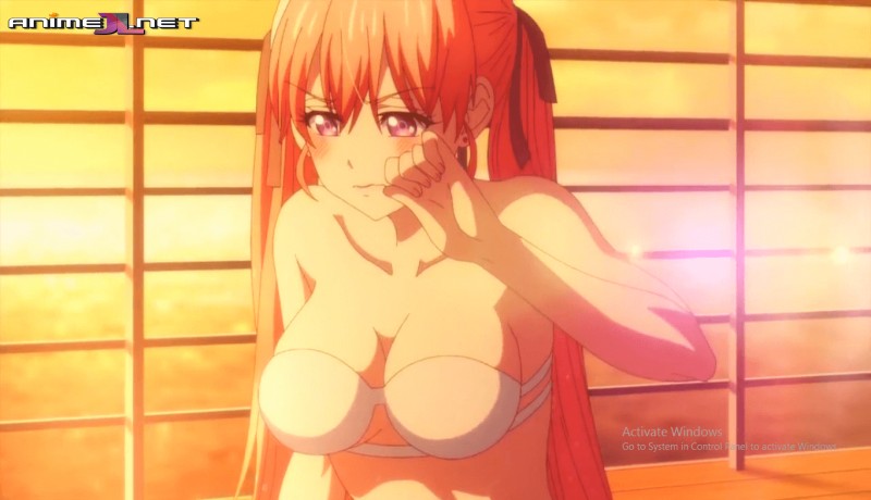 ver Kakkou no Iinazuke Español Latino