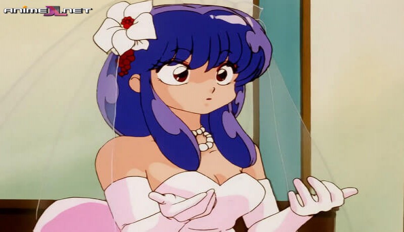 Ranma ½ Ovas (Sin Censura) Español Latino en latino