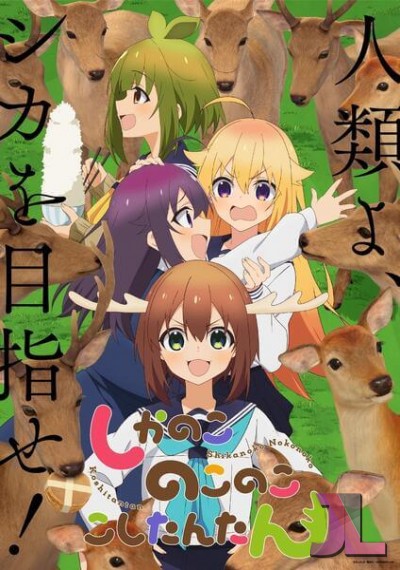 https://www.anime-jl.net/anime/1599/my-deer-friend-nokotan-latino-v2