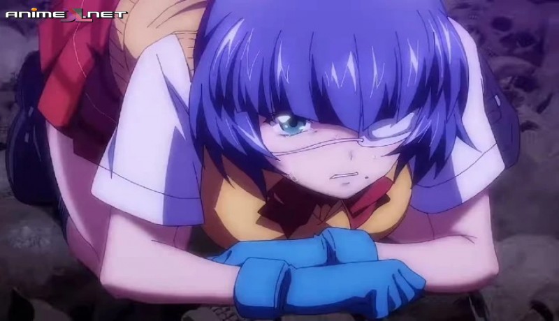 Shin Ikkitousen online