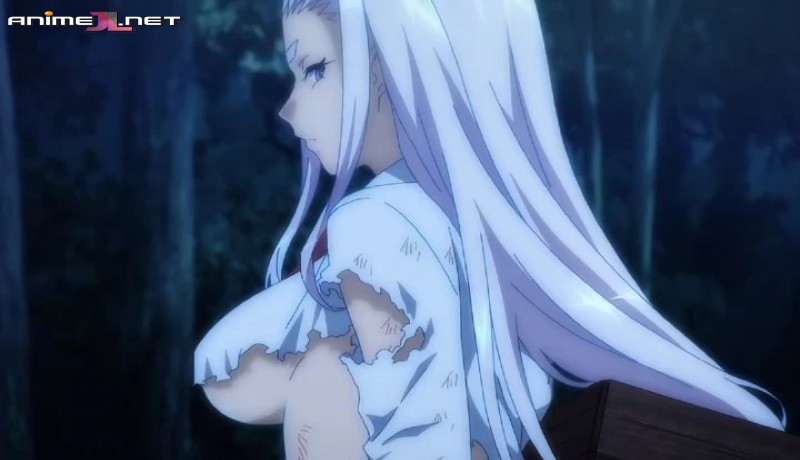 Shin Ikkitousen completo
