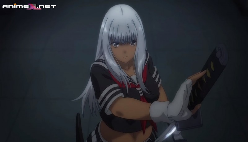 Shin Ikkitousen ver gratis