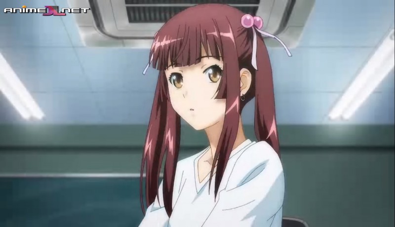 Shin Ikkitousen en español