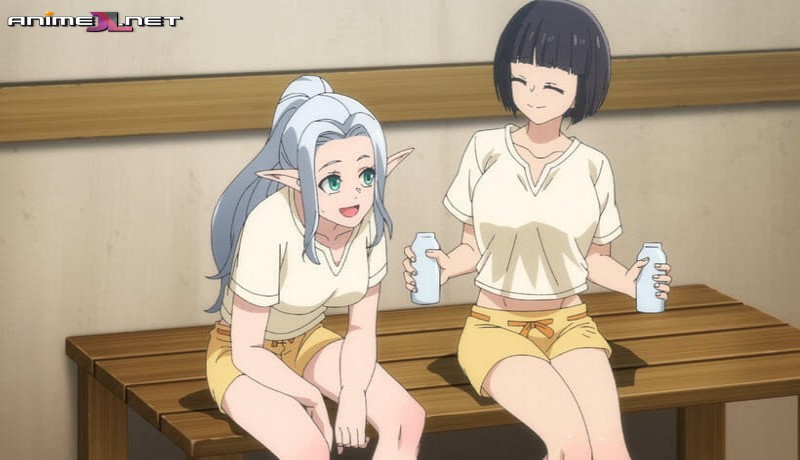 Shin no Nakama ja Nai to Yuusha no Party wo Oidasareta node Temporada 2 en latino