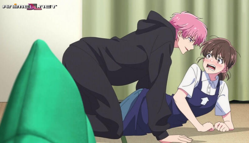 Tamon-kun Ima Docchi!? Latino en hd