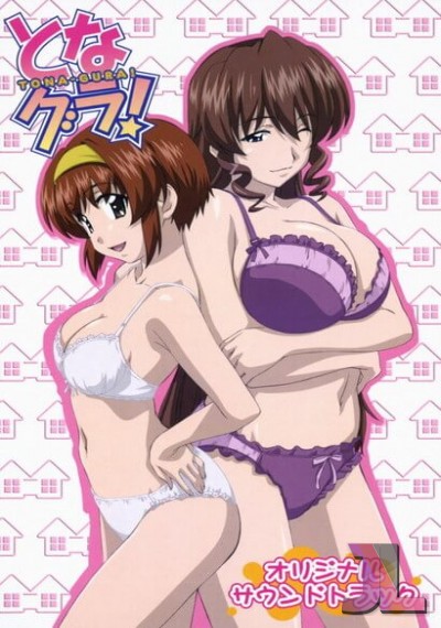 https://www.anime-jl.net/anime/1292/tona-gura-latino-v2