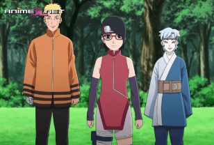 ver Boruto: Naruto Next Generations episodio 255